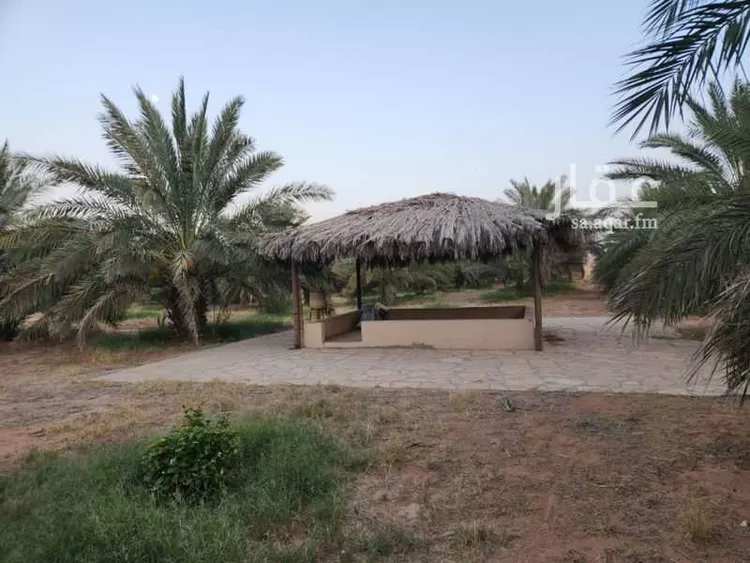 مزرعة للبيع في حي النخيل, مدينة ثادق, منطقة الرياض 17