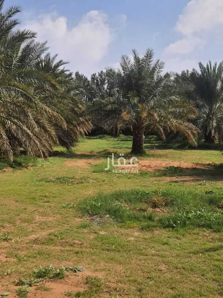 مزرعة للبيع في حي النخيل, مدينة ثادق, منطقة الرياض 11
