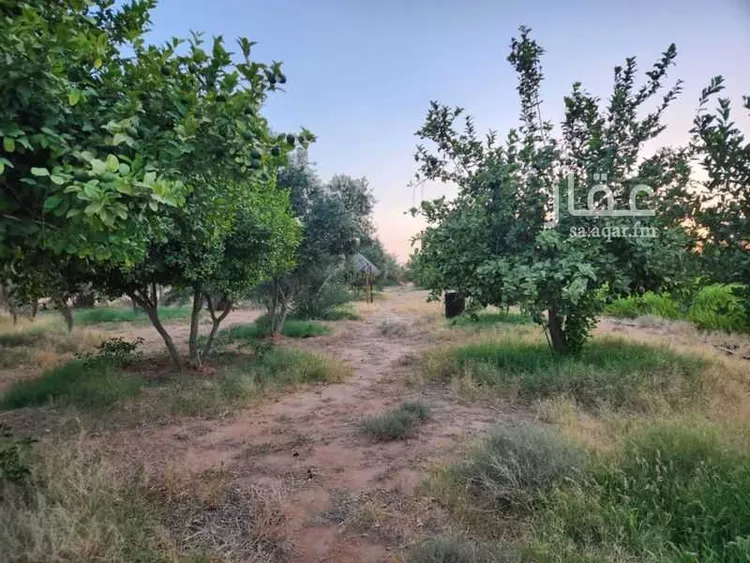 مزرعة للبيع في حي النخيل, مدينة ثادق, منطقة الرياض 18
