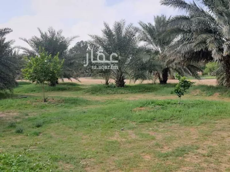 مزرعة للبيع في حي النخيل, مدينة ثادق, منطقة الرياض 13