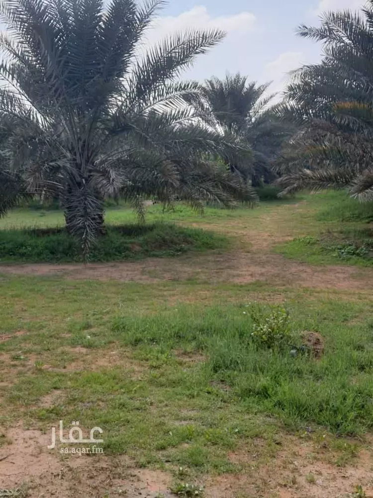مزرعة للبيع في حي النخيل, مدينة ثادق, منطقة الرياض 15