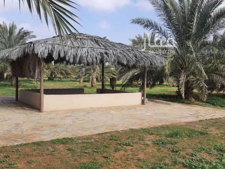 مزرعة للبيع في حي النخيل, مدينة ثادق, منطقة الرياض 22