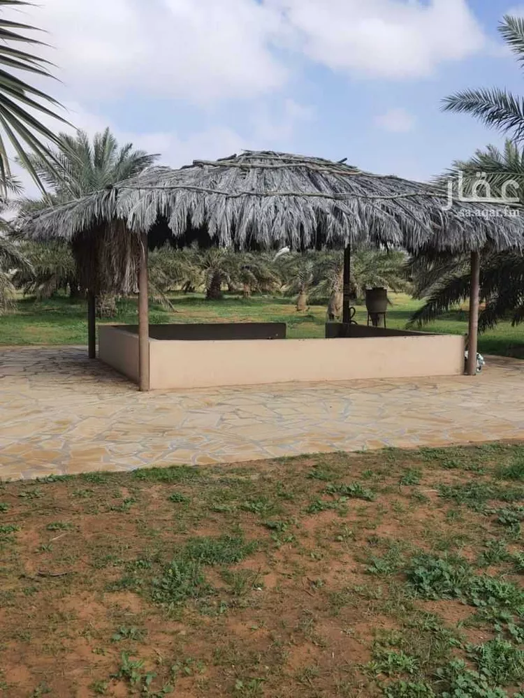 مزرعة للبيع في حي النخيل, مدينة ثادق, منطقة الرياض 24