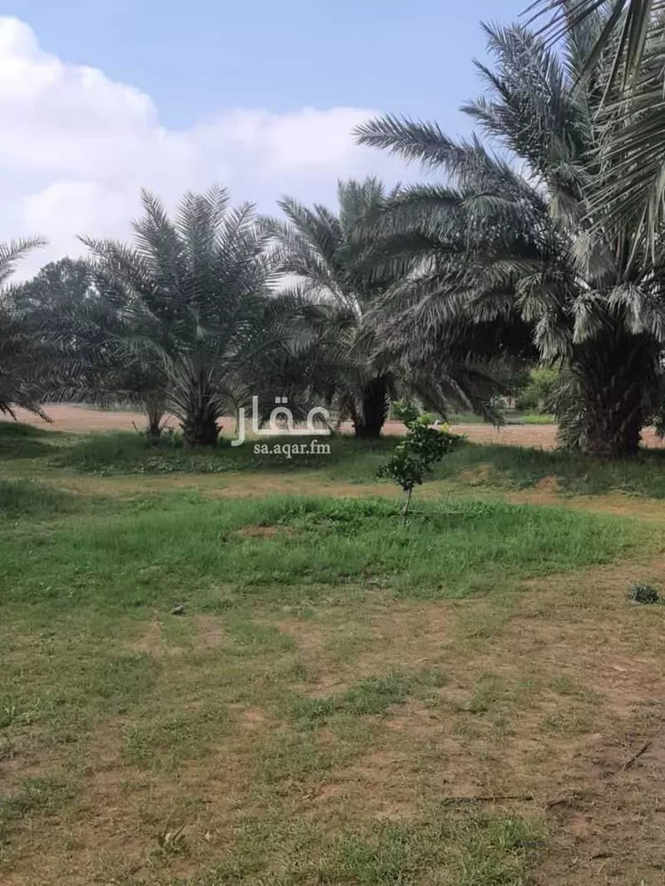 مزرعة للبيع في حي النخيل, مدينة ثادق, منطقة الرياض 26