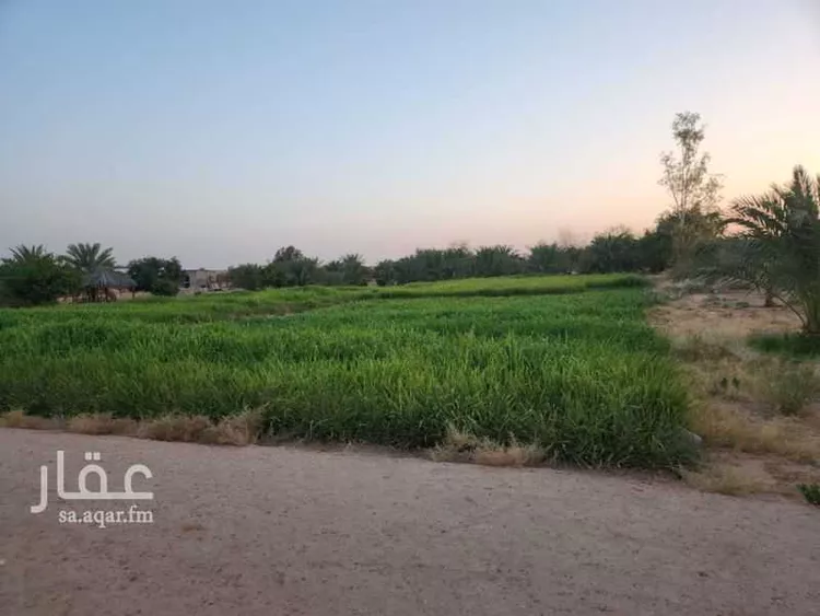 مزرعة للبيع في حي النخيل, مدينة ثادق, منطقة الرياض صورة 2