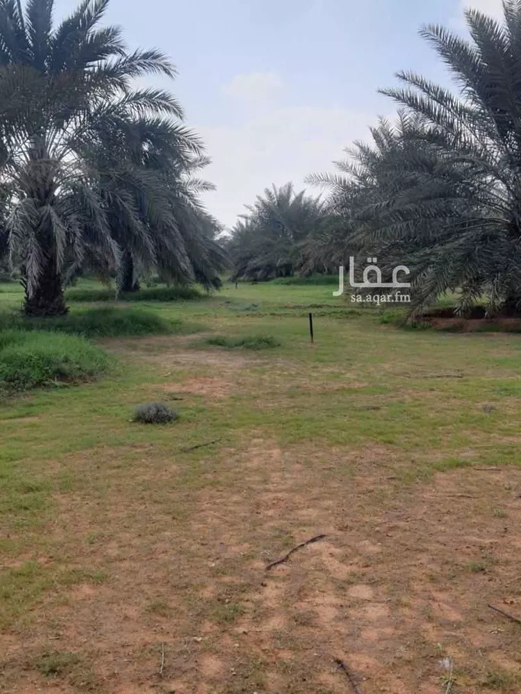 مزرعة للبيع في حي النخيل, مدينة ثادق, منطقة الرياض 7