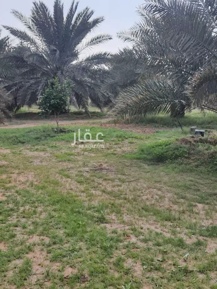 مزرعة للبيع في حي النخيل, مدينة ثادق, منطقة الرياض 28