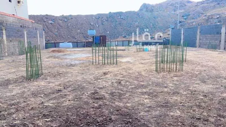 أرض للبيع في شارع ابي الروح الشافعي, حي أم السلم, مدينة جدة, منطقة مكة المكرمة صورة 5