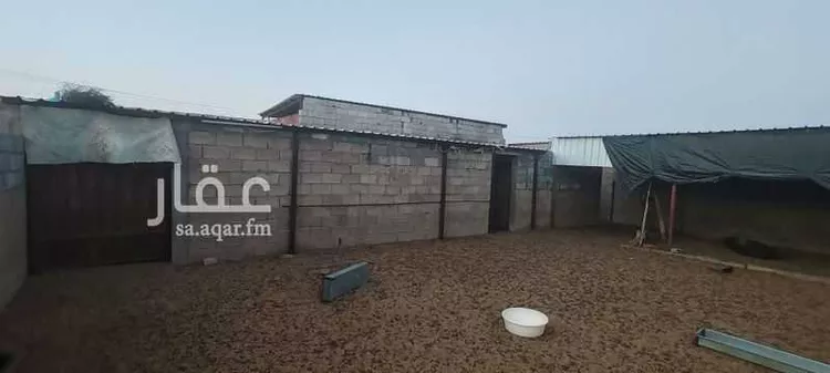 استراحة للإيجار في شارع الابردان ، حائل ، منطقة حائل صورة 4