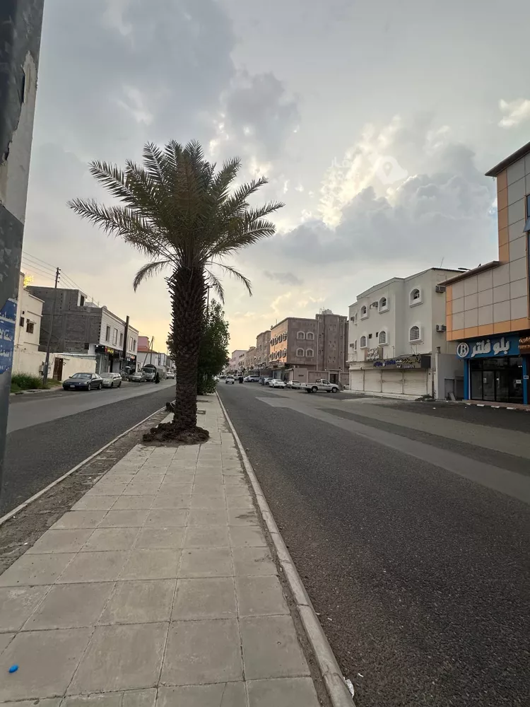 عمارة للإيجار في شارع سلطانة العام, حي المضباع, مدينة الطائف, منطقة مكة المكرمة 3