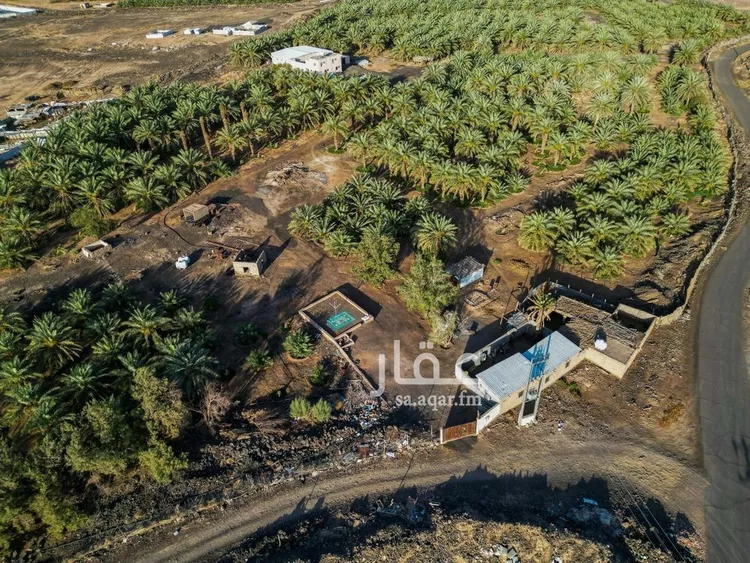 مزرعة للبيع في شارع الشرائع, حي الشرائع, مدينة المدينة المنورة, منطقة المدينة المنورة صورة 2