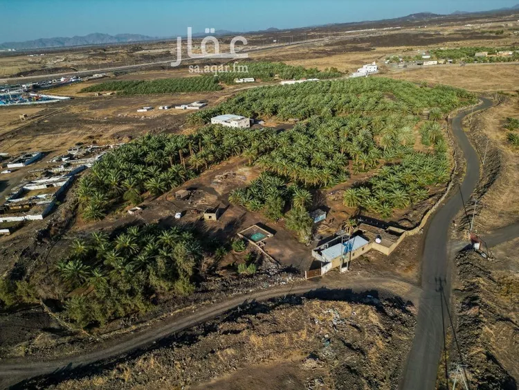 مزرعة للبيع في شارع الشرائع, حي الشرائع, مدينة المدينة المنورة, منطقة المدينة المنورة صورة 3