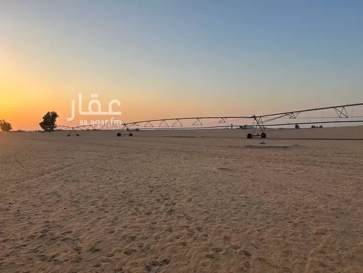 مزرعة للبيع في شارع السيح 103 ، عين القنور ، الدوادمي صورة 3