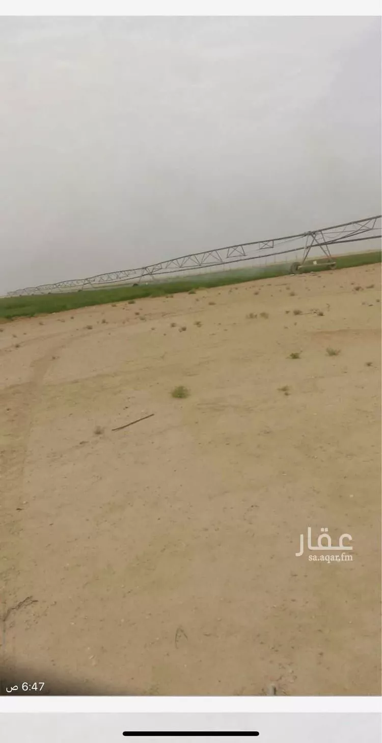 مزرعة للبيع في شارع شارع حرض, حي مزرعة الصافي, مدينة مزرعة الصافي, المنطقة الشرقية صورة 2