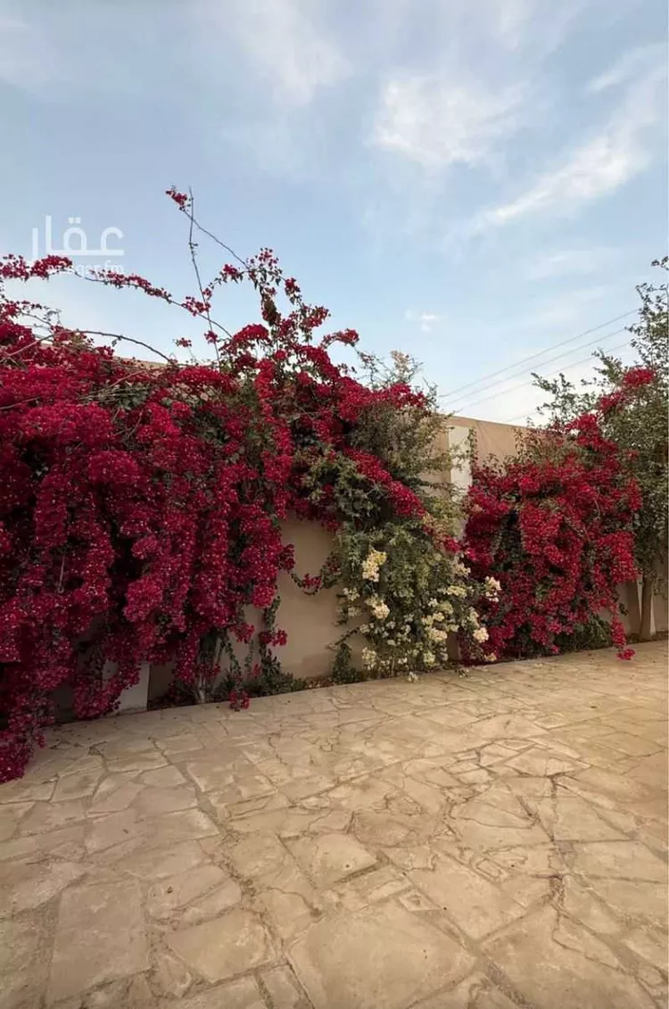 Farm for Sale in Al Kharj Al Badi'ah صورة 3