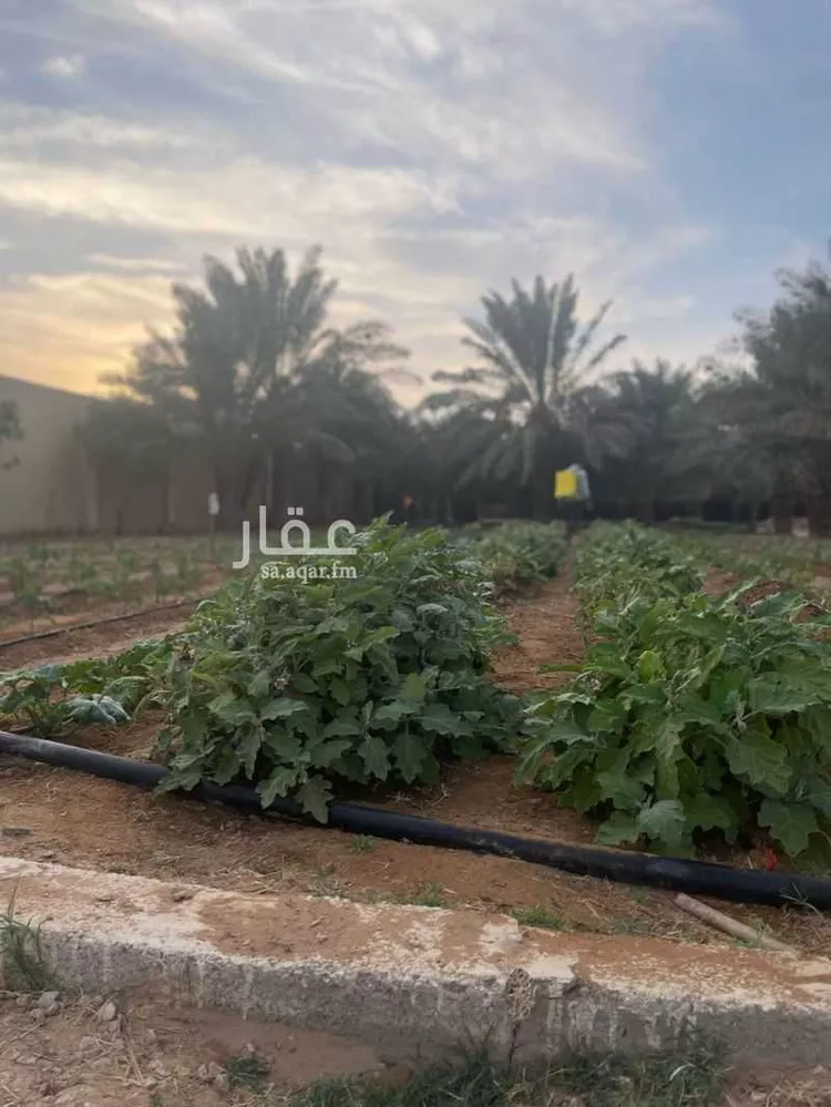 Farm for Sale in Al Kharj Al Badi'ah صورة 4