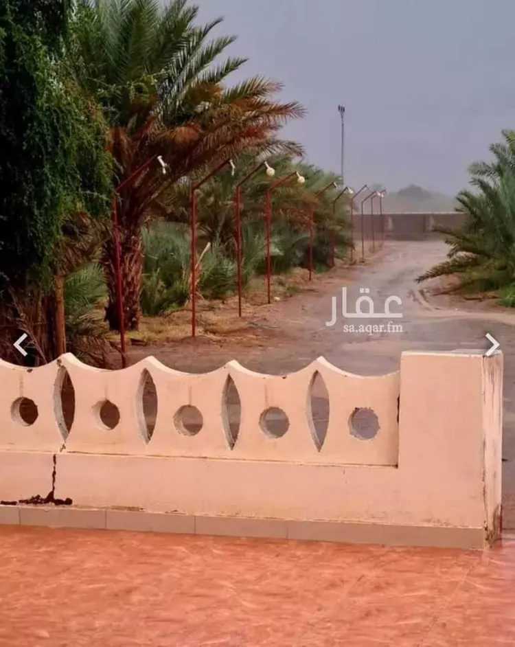 مزرعة للبيع في شارع المليليح 188 ، حي المليليح ، المدينة المنورة ، منطقة المدينة المنورة صورة 4