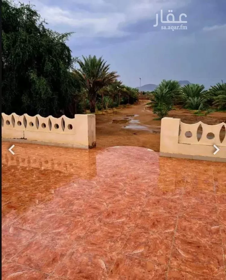 مزرعة للبيع في شارع المليليح 188 ، حي المليليح ، المدينة المنورة ، منطقة المدينة المنورة