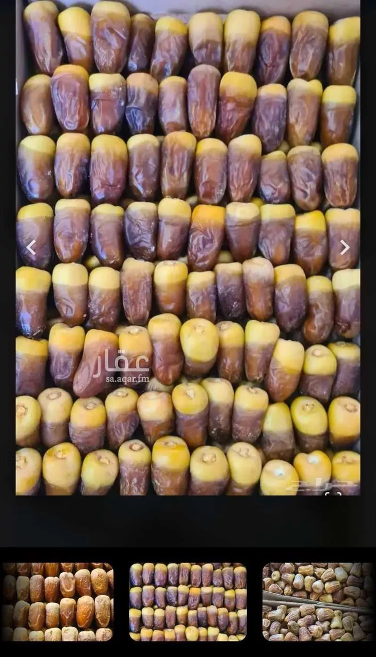 مزرعة للبيع في شارع المليليح 188 ، حي المليليح ، المدينة المنورة ، منطقة المدينة المنورة صورة 5