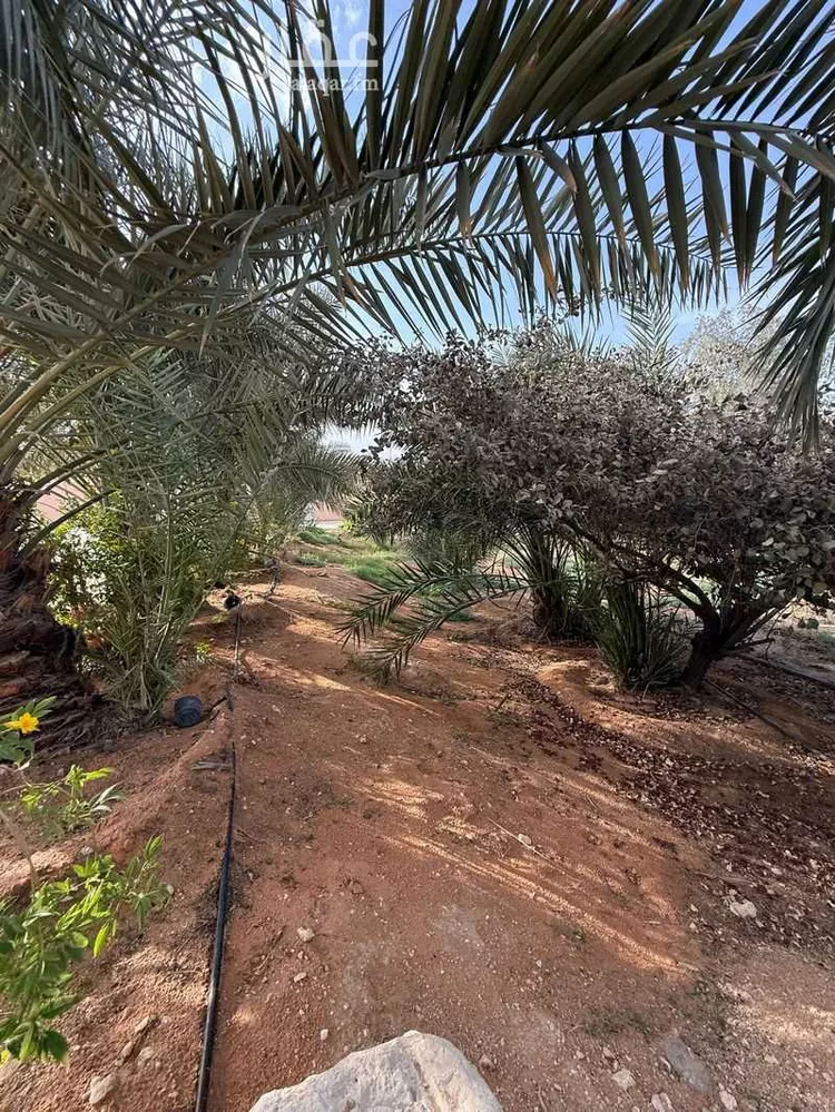 مزرعة للبيع في شارع نجد 12, حي نجد, مدينة الجبيلة, منطقة الرياض 12