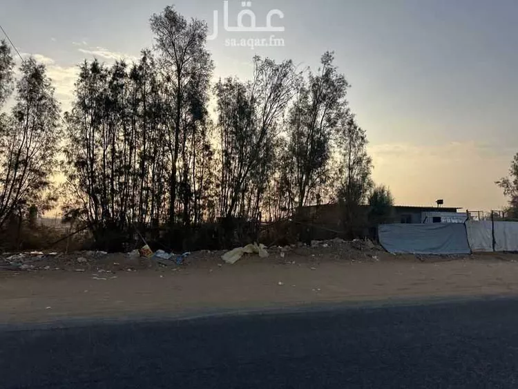 أرض للبيع في طريق ولي العهد ، حي التعاون ، تبوك ، منطقة تبوك