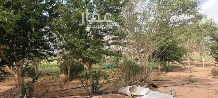 مزرعة للبيع في عسفان ، الجموم صورة 3