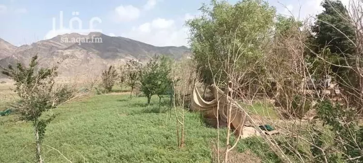 مزرعة للبيع في عسفان ، الجموم صورة 2