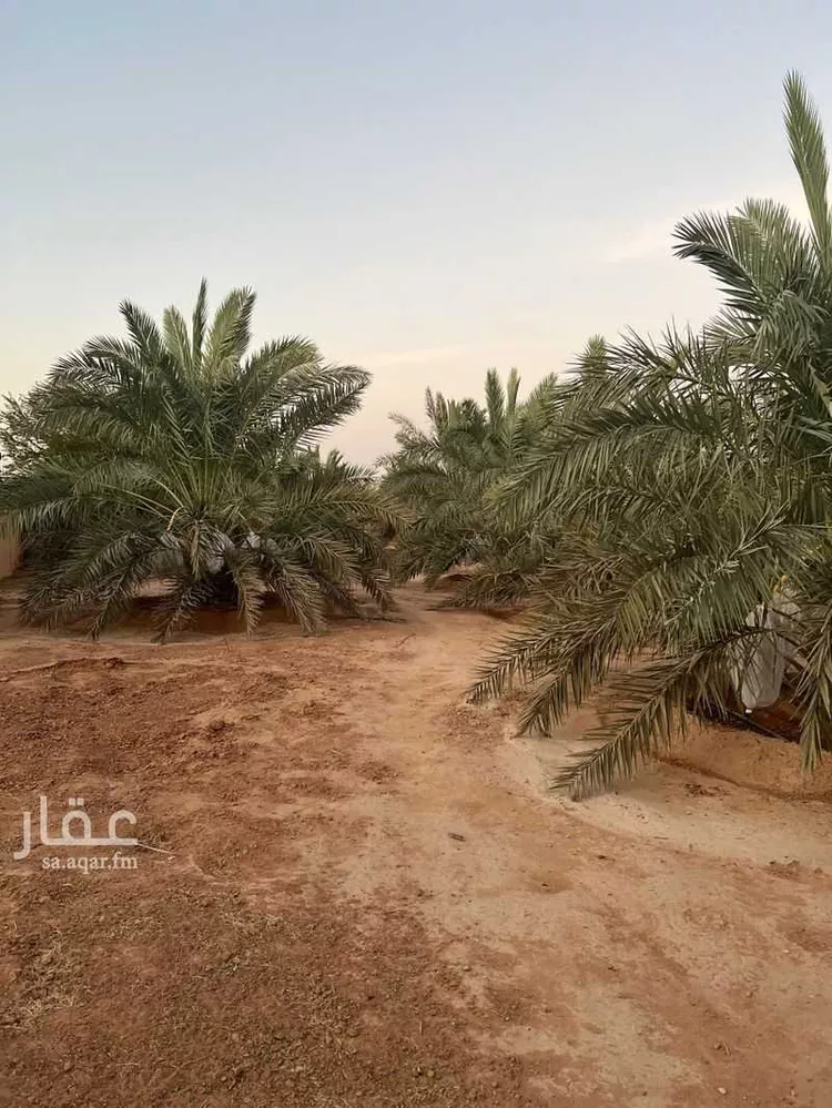 مزرعة للبيع في شارع هجره العليا 1222 ، الغزيز ، ضرما صورة 4