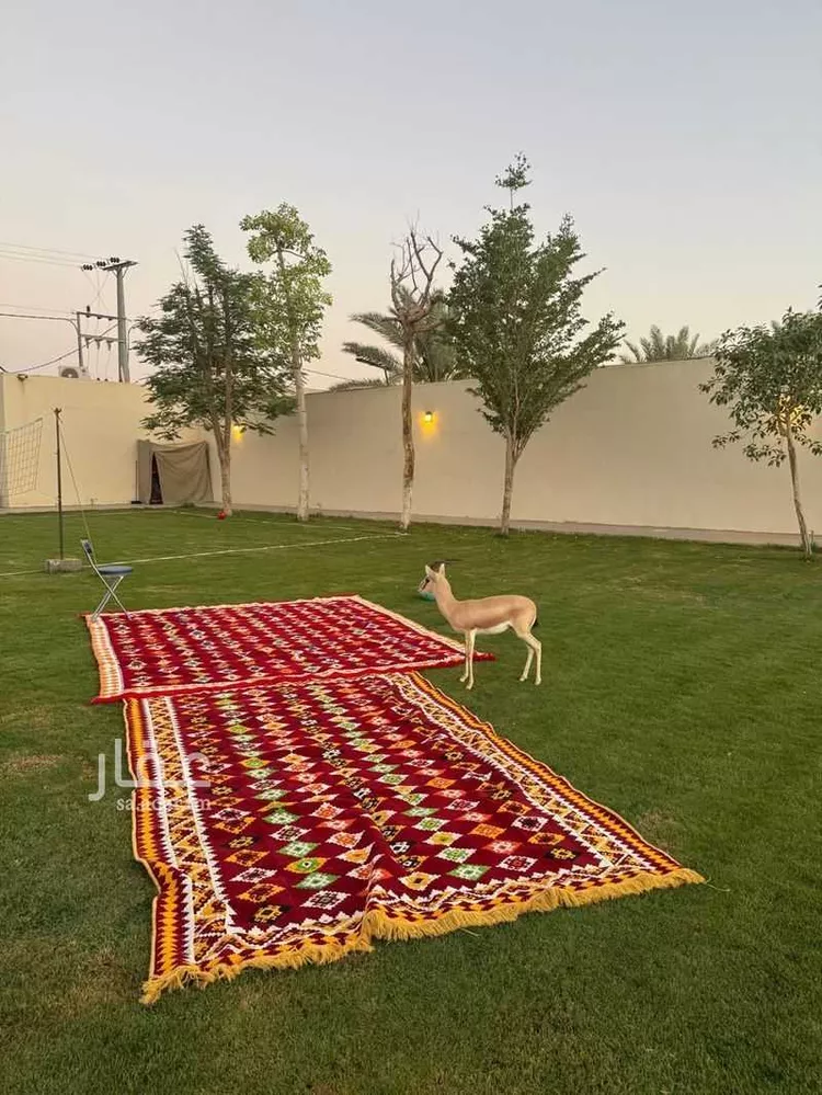 شاليه للإيجار في شارع يحىى العدواني ، حي بنبان ، الرياض ، حريملاء صورة 3