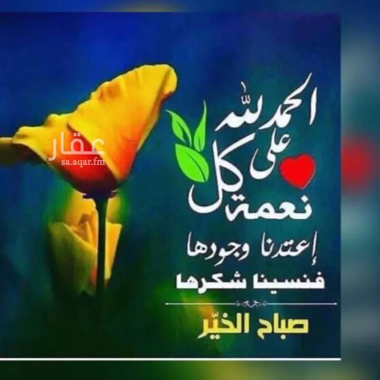 أرض للبيع في شارع شارع الحنان, حي الملك عبدالله الاقتصادية, مدينة مدينة الملك عبدالله الاقتصادية, منطقة مكة المكرمة
