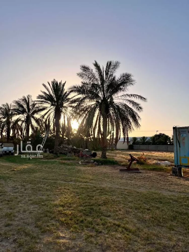 Farm for Sale in Al Mithnab Umm Ushayrah صورة 4