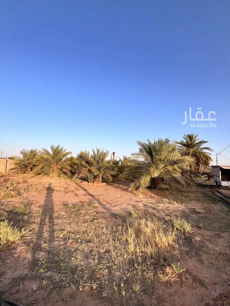 Farm for Sale in Al Mithnab Umm Ushayrah صورة 2