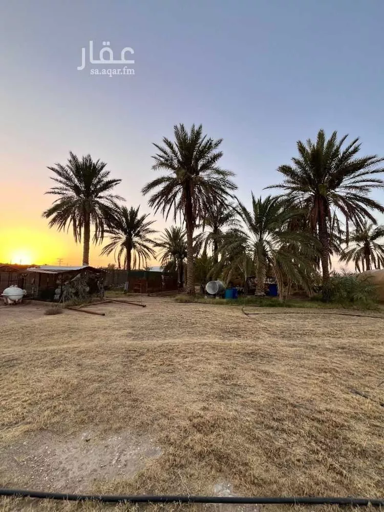 Farm for Sale in Al Mithnab Umm Ushayrah صورة 5