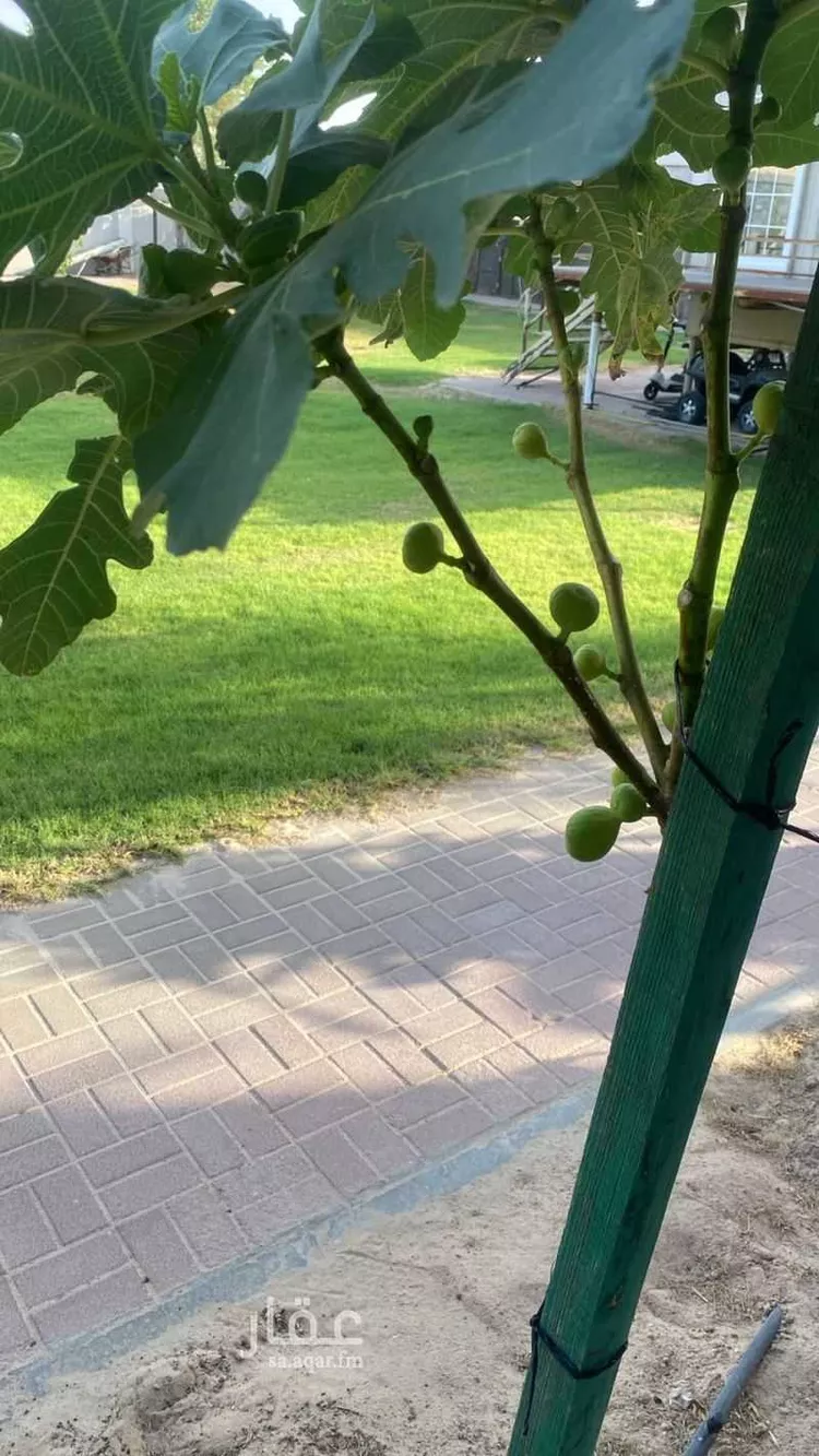 استراحة للبيع في شارع 6993230, حي المنتزه, مدينة بقيق, المنطقة الشرقية 11