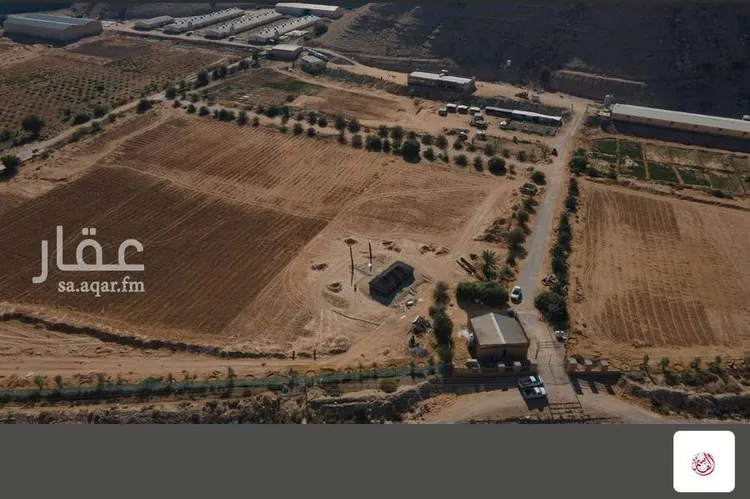 مزرعة للبيع في شارع خنيجر, حي عريض, مدينة الرياض, منطقة الرياض صورة 5