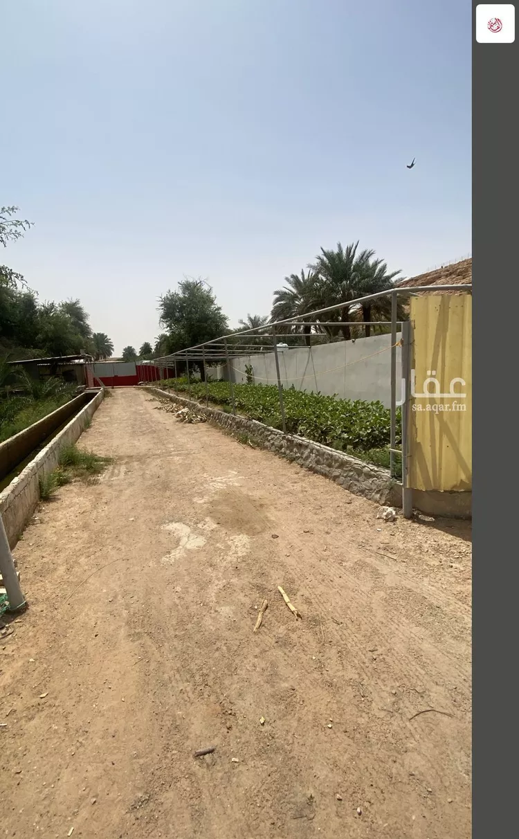 مزرعة للبيع في شارع 5399, حي عريض, مدينة الرياض, منطقة الرياض صورة 5