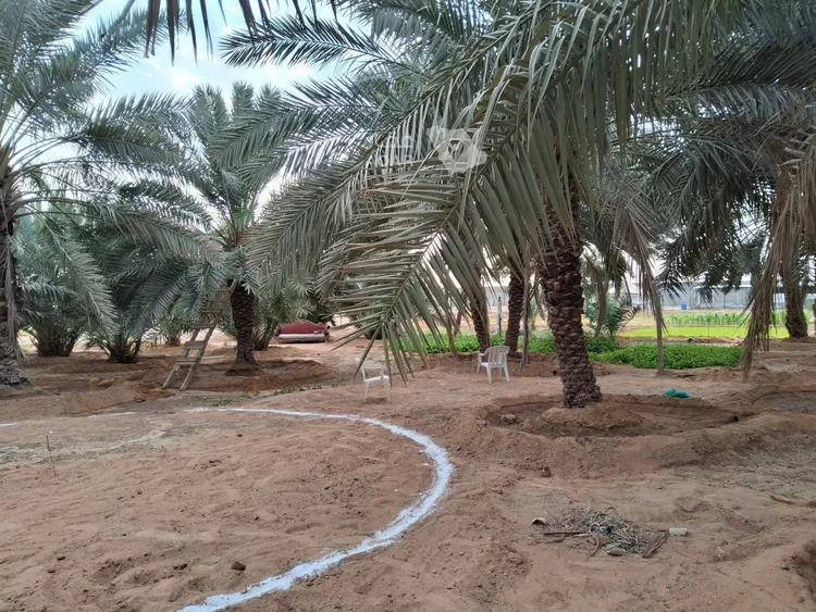 Farm for Sale in Al Muzahimiyah Al GhatGhat