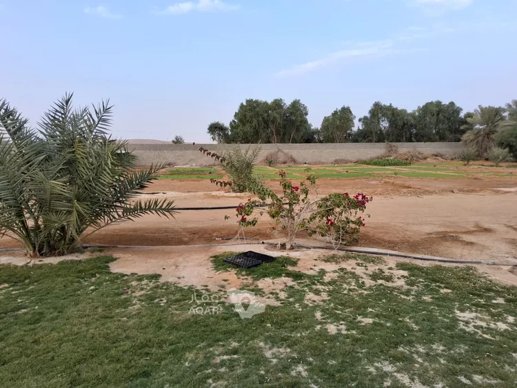 مزرعة للبيع في مدينة البدائع, منطقة الرياض صورة 5