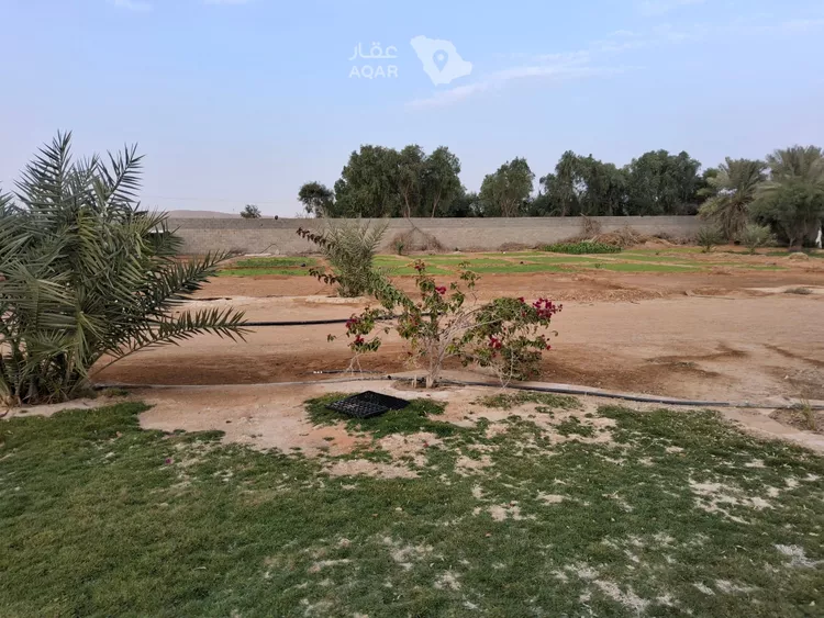مزرعة للبيع في مدينة البدائع, منطقة الرياض صورة 4