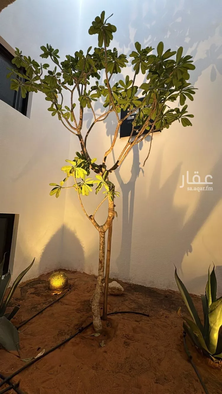 شقة للإيجار في شارع الامير فيصل بن عبدالله بن عبدالرحمن, حي حطين, مدينة الرياض, منطقة الرياض صورة 5