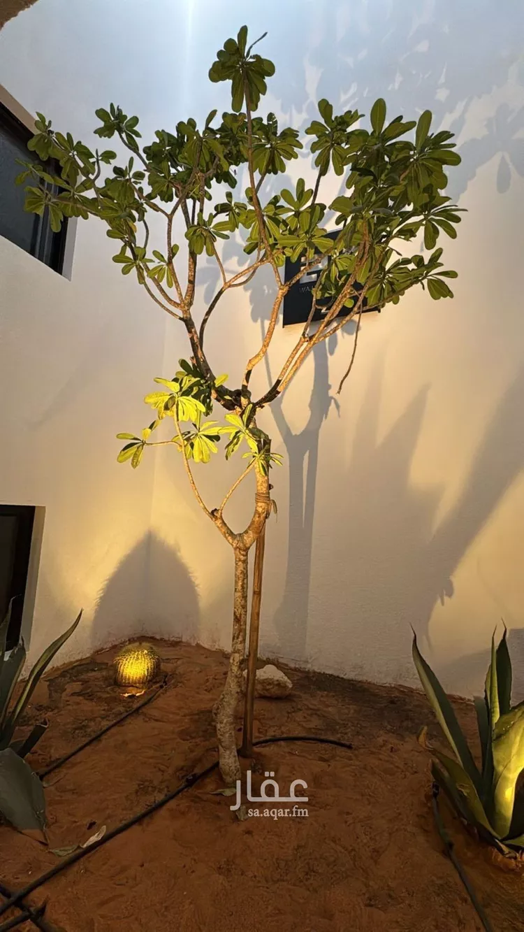 Apartment for Rent in Riyadh Hittin صورة 5