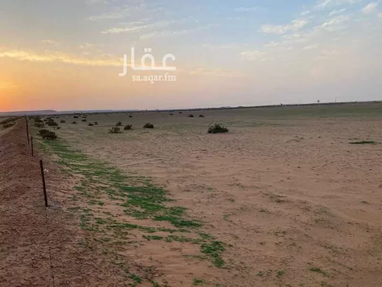 مزرعة للبيع في شقراء صورة 3