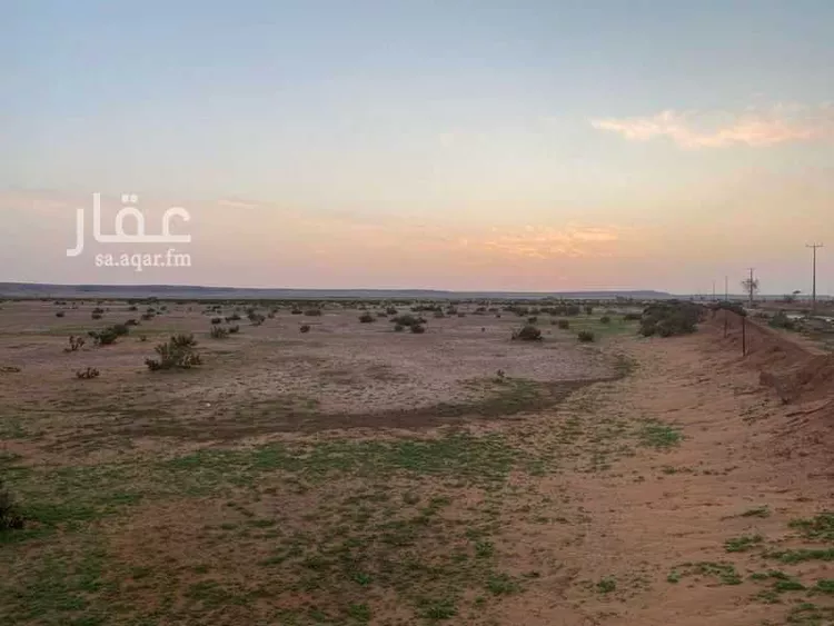 مزرعة للبيع في شقراء صورة 4