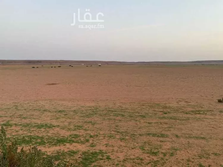 مزرعة للبيع في شقراء صورة 5