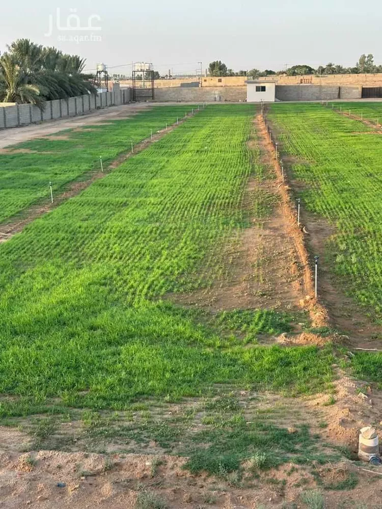 مزرعة للبيع في شارع البكيريه 799 ، البكيرية ، البكيرية صورة 5