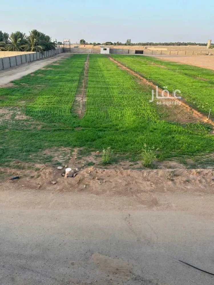 مزرعة للبيع في شارع البكيريه 799 ، البكيرية ، البكيرية صورة 2