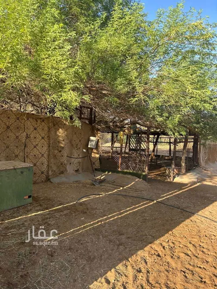 مزرعة للبيع في شارع ابن عثيمين ، حي العطيان ، حوطة بني تميم ، حوطة بني تميم 8