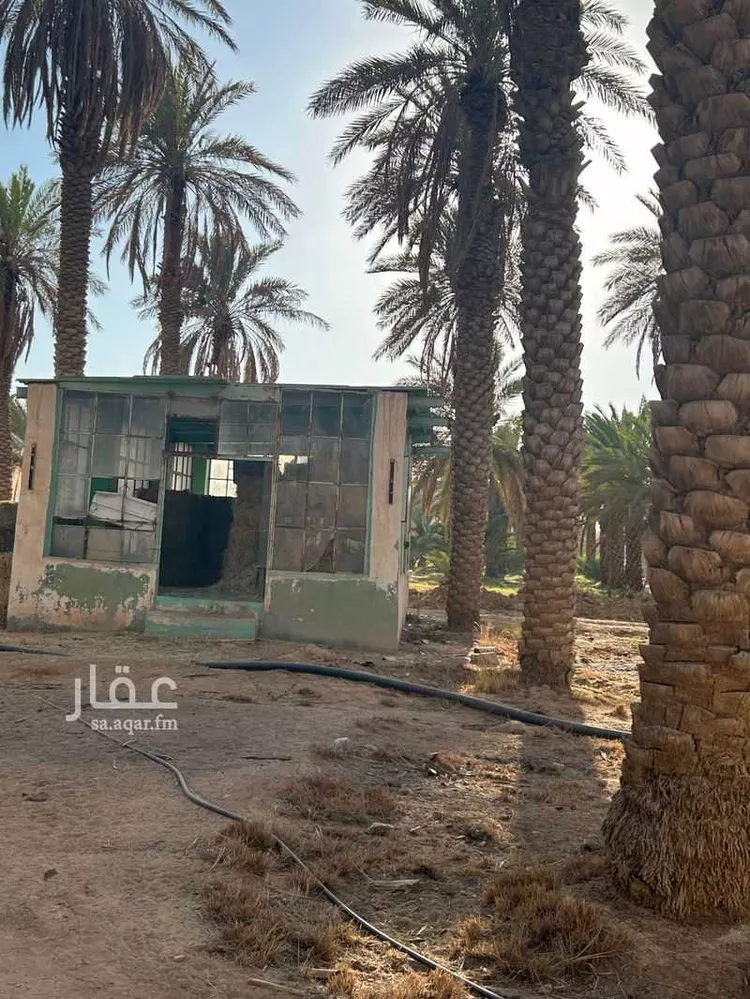 مزرعة للبيع في شارع ابن عثيمين ، حي العطيان ، حوطة بني تميم ، حوطة بني تميم 10