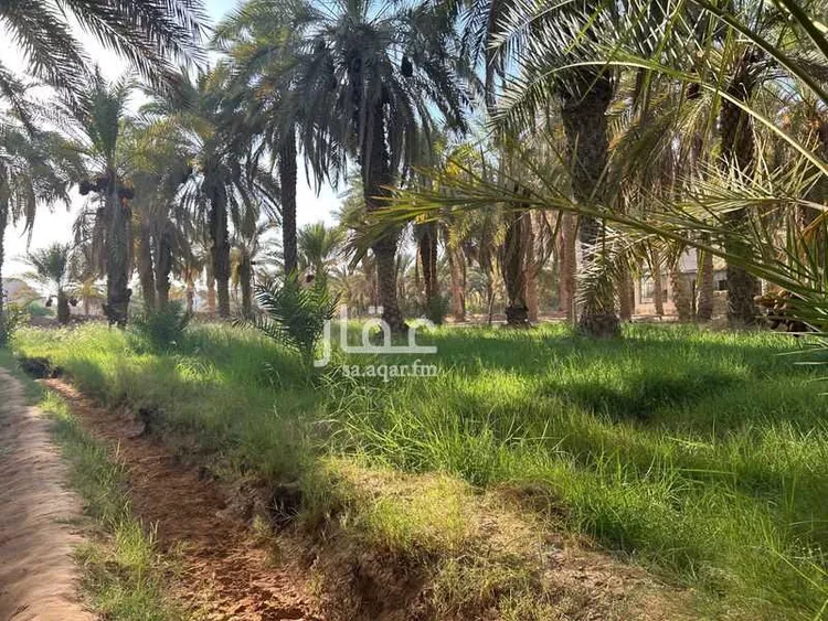 مزرعة للبيع في شارع ابن عثيمين ، حي العطيان ، حوطة بني تميم ، حوطة بني تميم 14