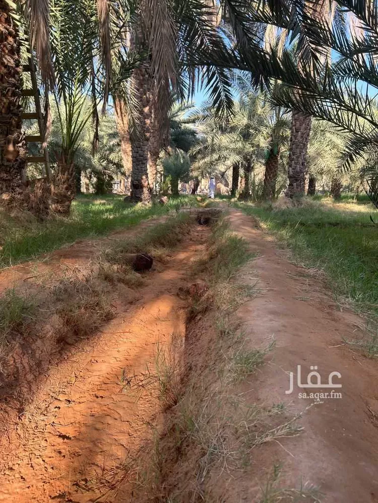 مزرعة للبيع في شارع ابن عثيمين ، حي العطيان ، حوطة بني تميم ، حوطة بني تميم 18